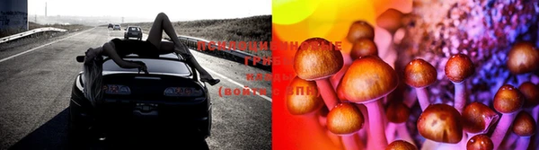 дмт Верея