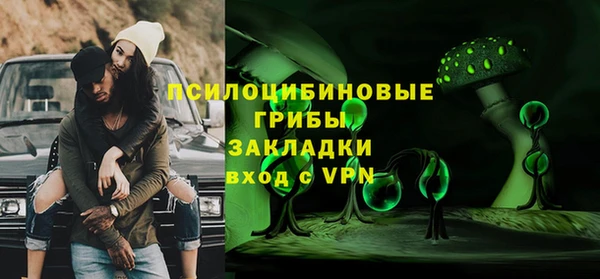 дмт Верея
