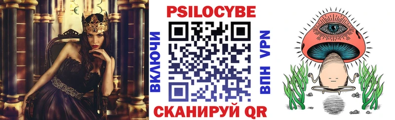 кракен ссылки Ставрополь Псилоцибиновые грибы Cubensis